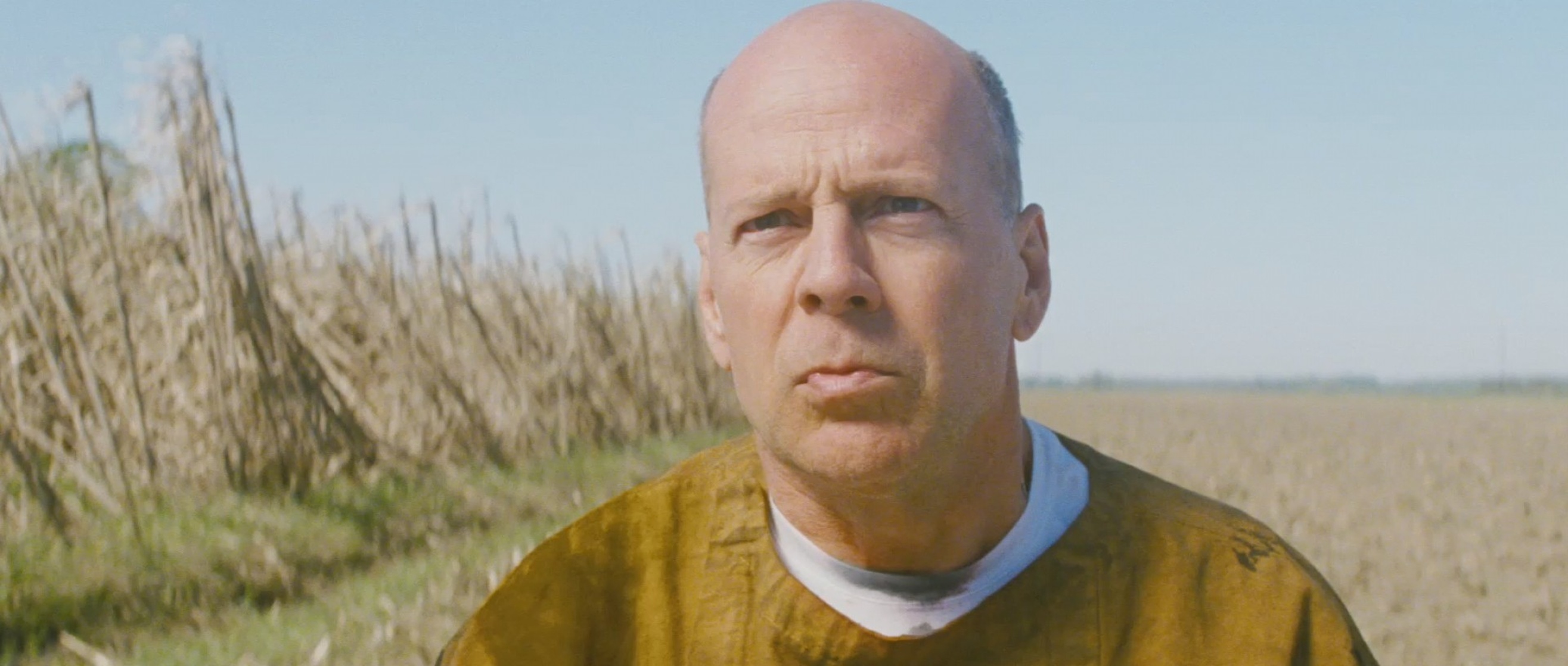 Looper