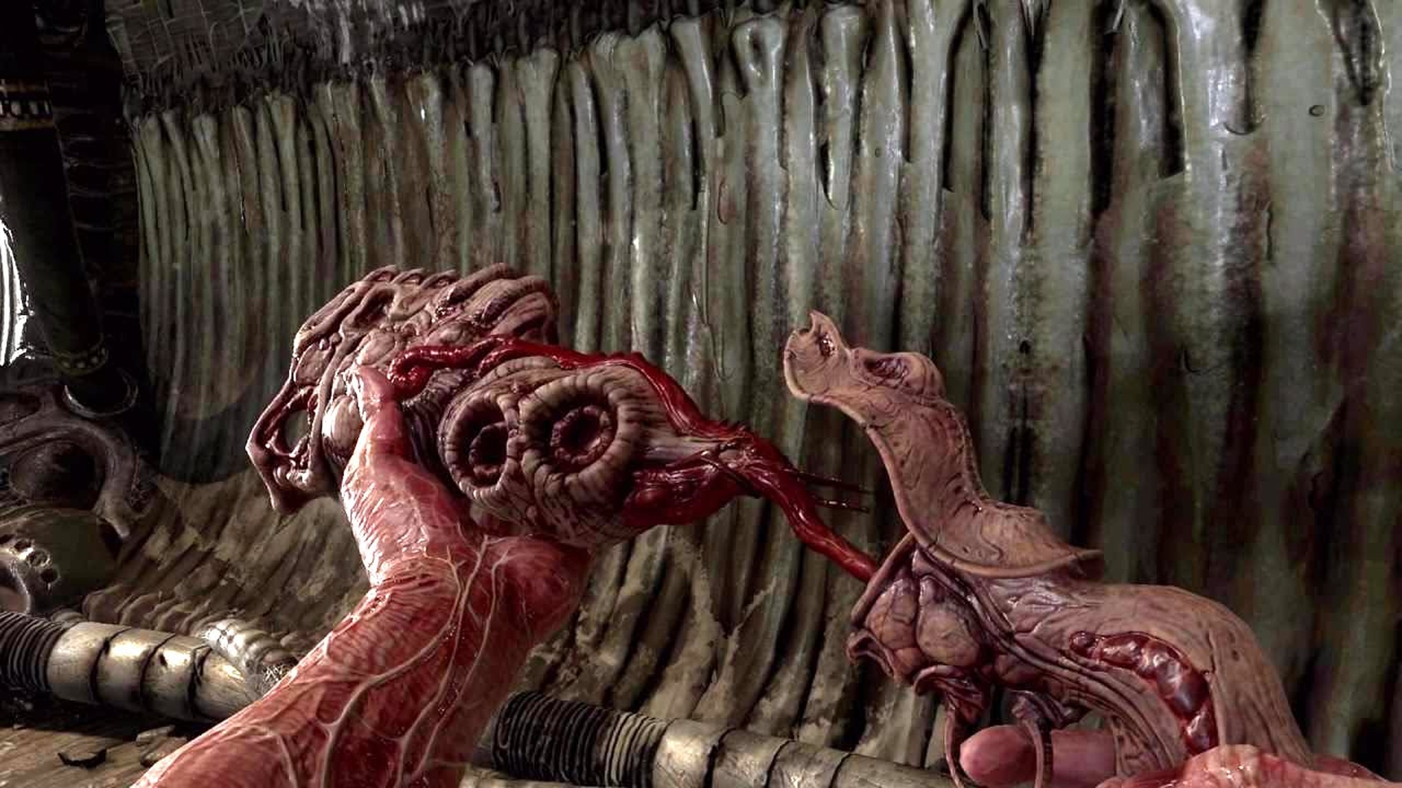 Scorn