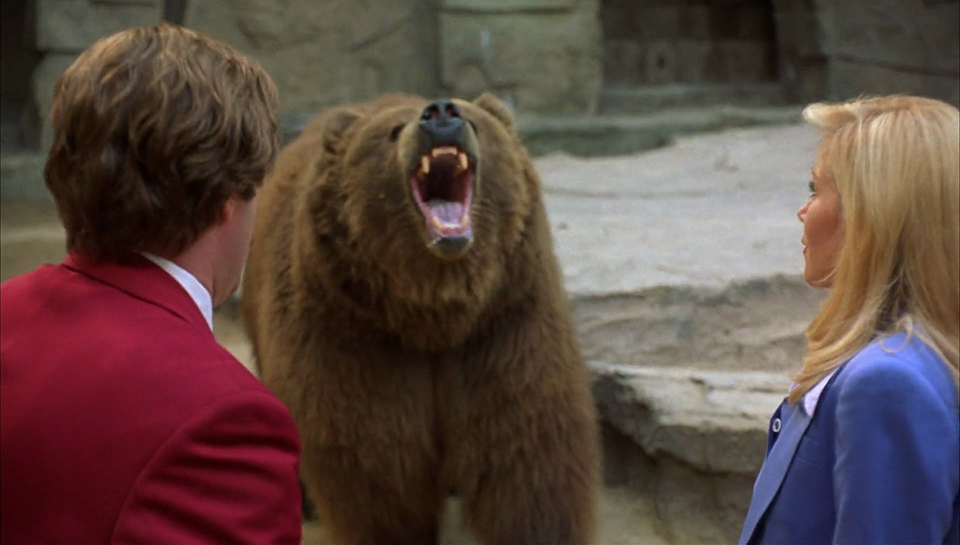 Anchorman: The Legend of Ron Burgundy (2004)