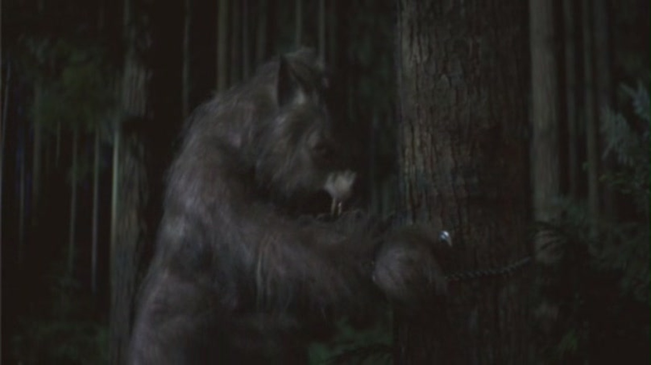 Bad Moon Full Movie Download In Hindi Bad Moon picture