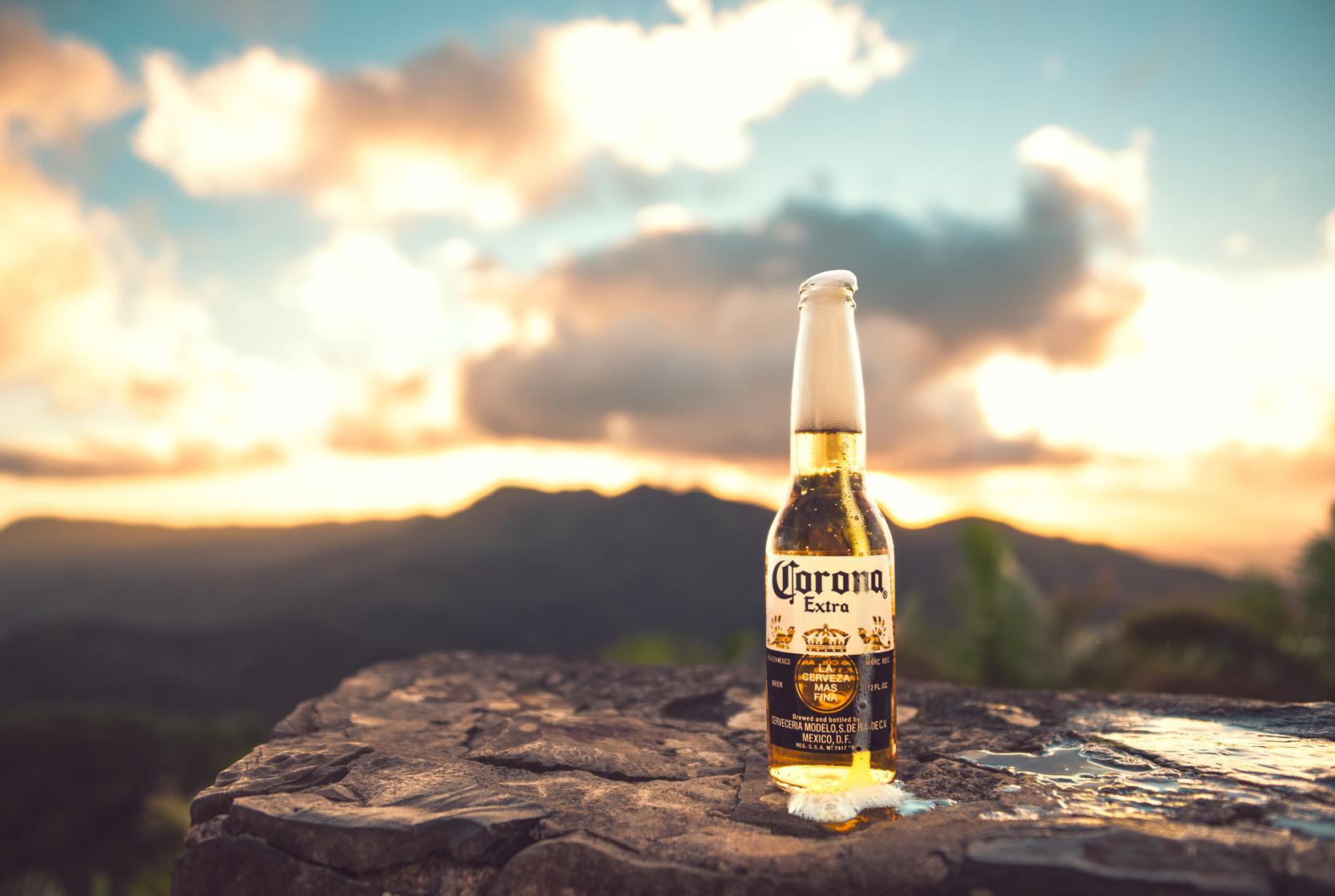 Corona