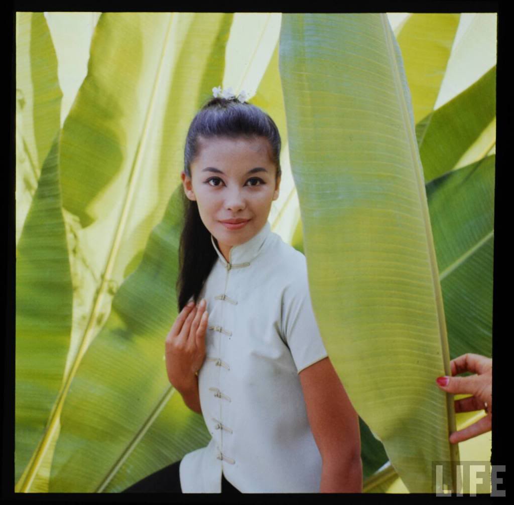France Nuyen France Nuyen