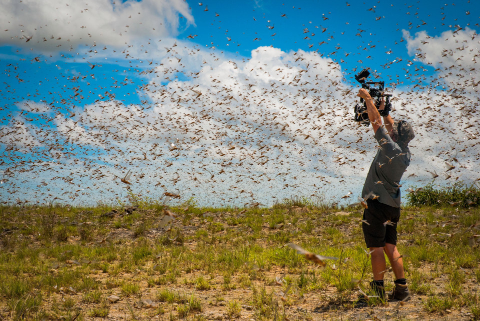 Planet Earth II