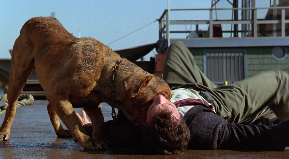 Turner & Hooch