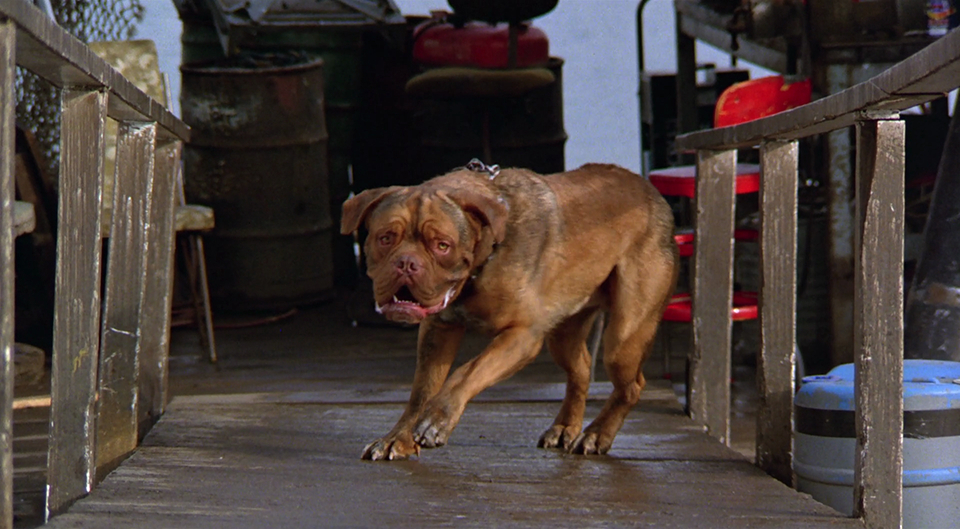 Turner & Hooch Turner & Hooch