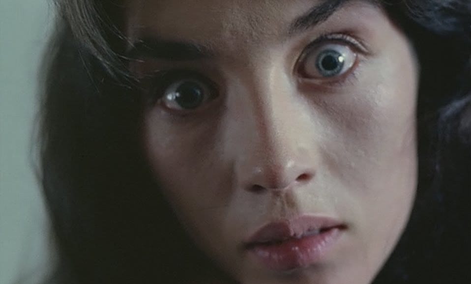 Possession (1981) Possession (1981)
