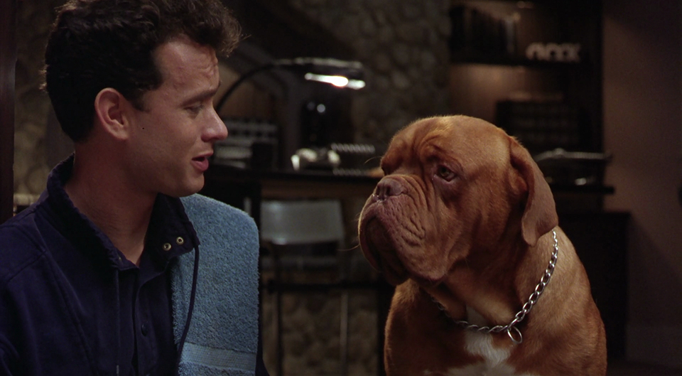 Turner & Hooch