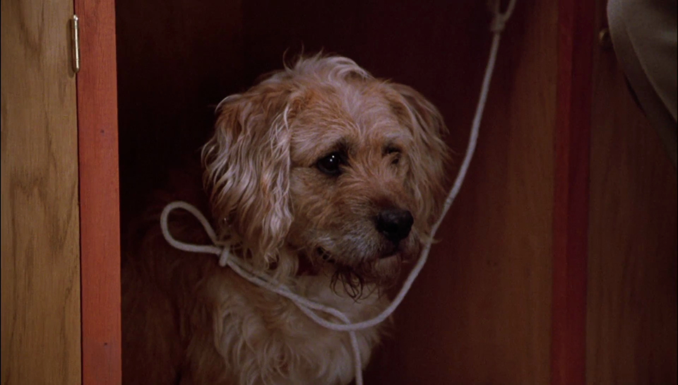 Gremlins Gremlins