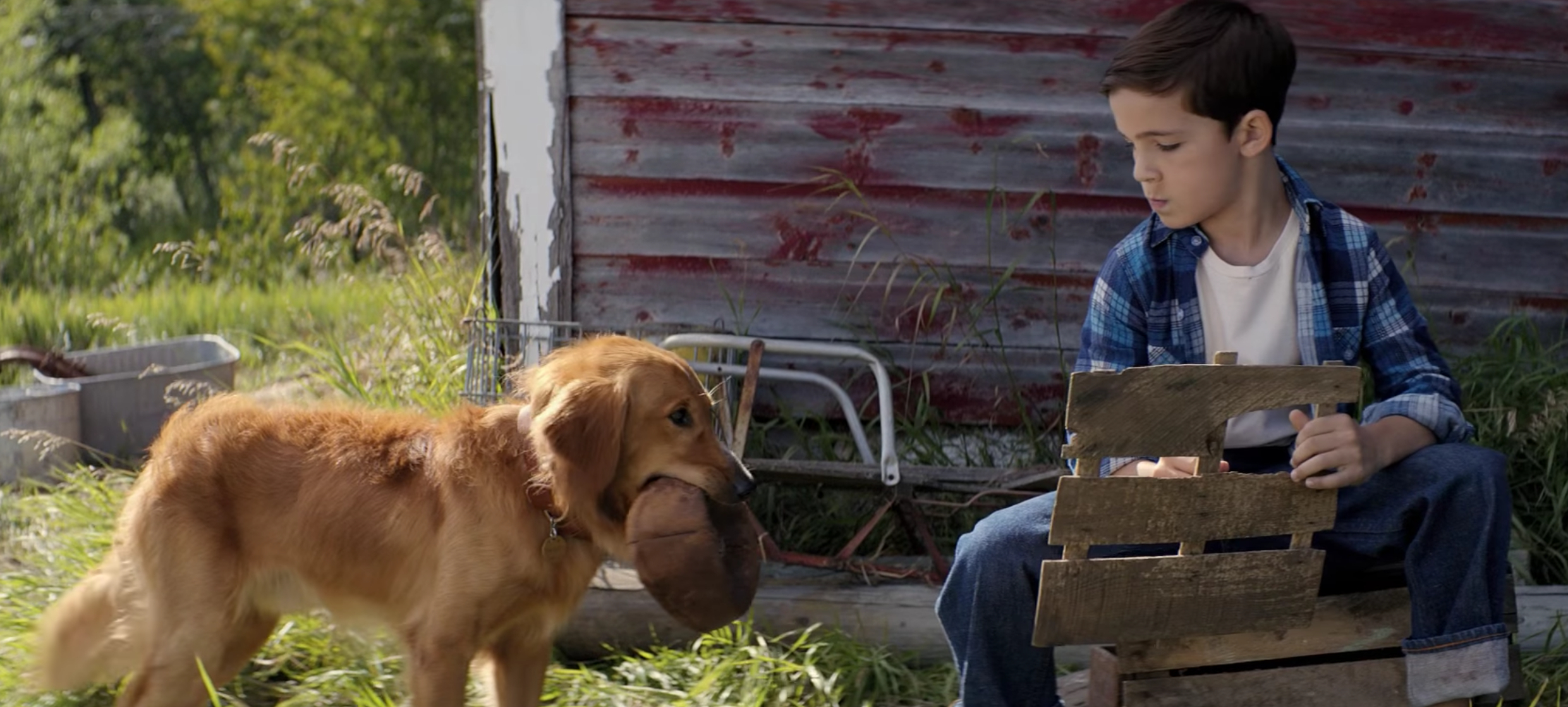 A Dog's Purpose