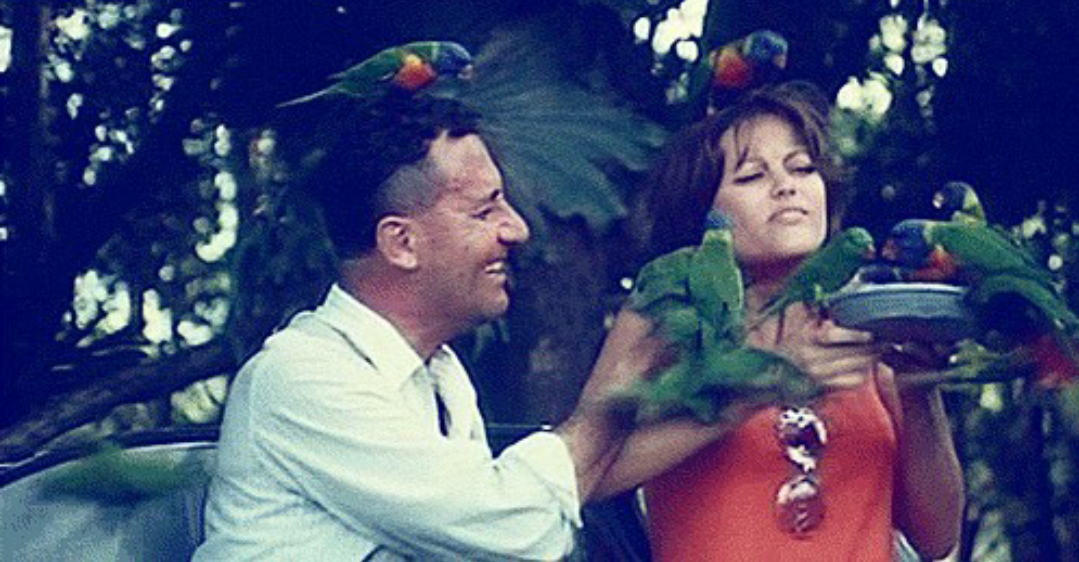 Claudia Cardinale Claudia Cardinale