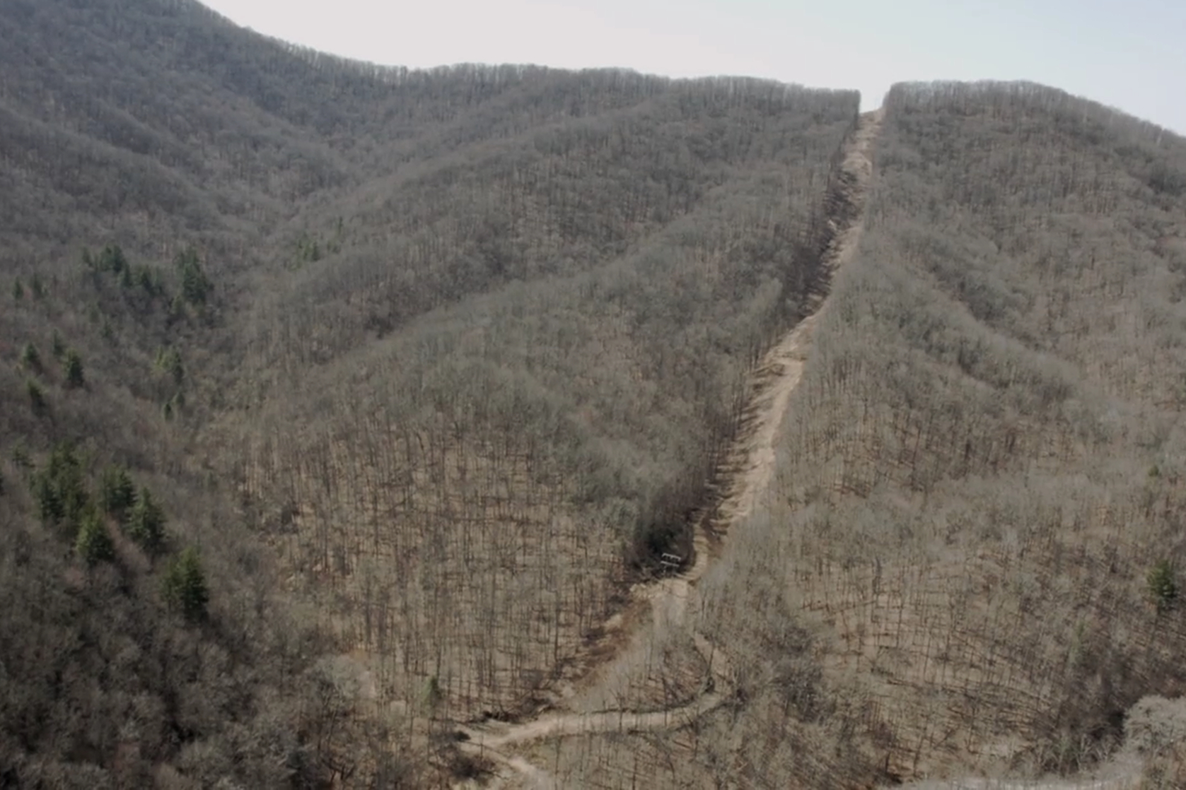 The Barkley Marathons: The Race That Eats Its Young