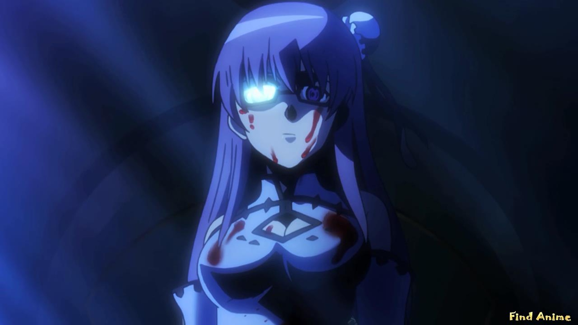 Akame ga Kill!
