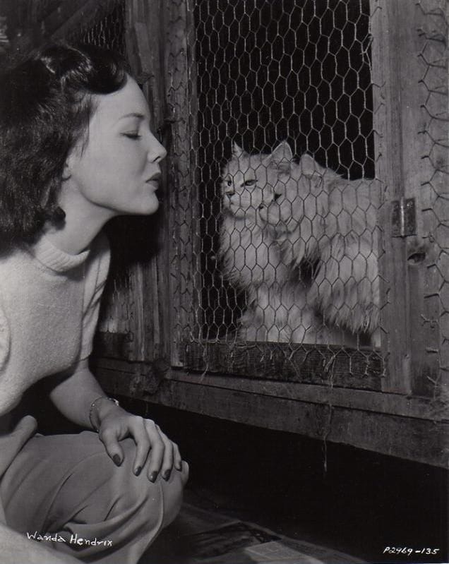 Wanda Hendrix picture