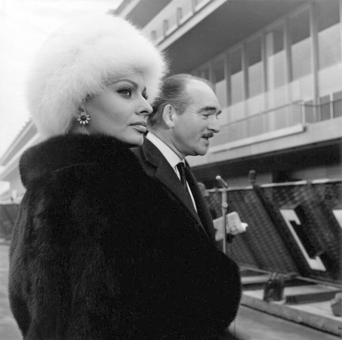 Sophia Loren Sophia Loren
