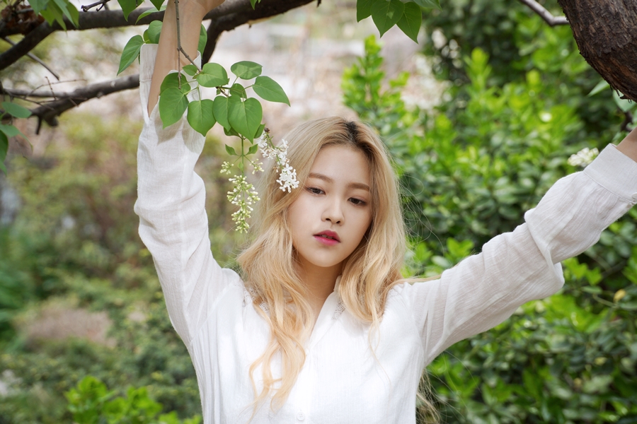 Yeri