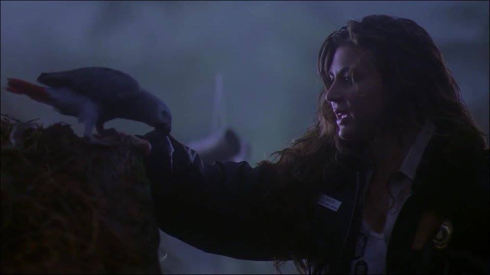 Cerina Vincent