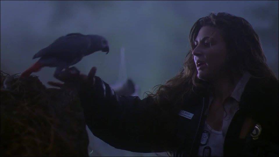 Cerina Vincent