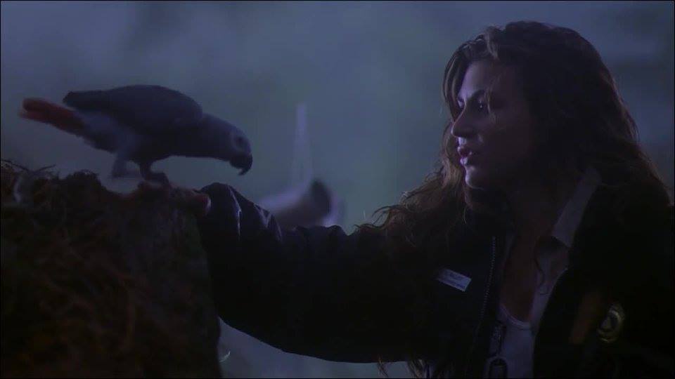 Cerina Vincent