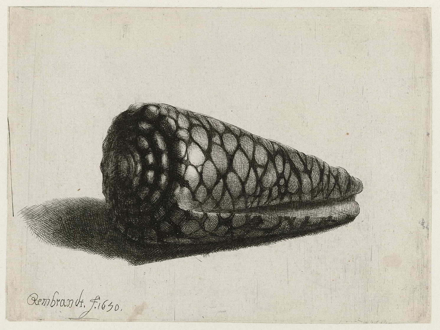 Rembrandt Sabelis