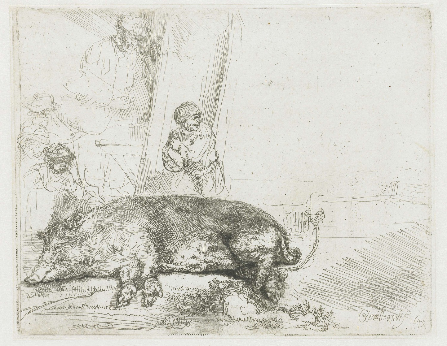 Rembrandt Sabelis