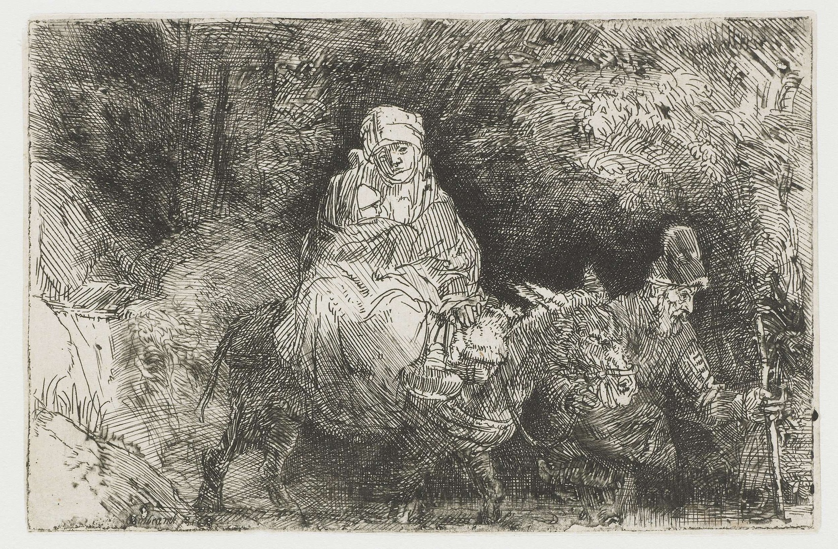 Rembrandt Sabelis