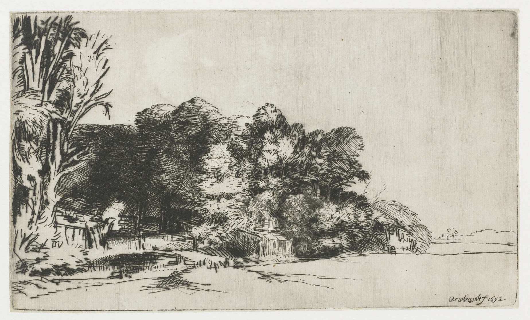 Rembrandt Sabelis