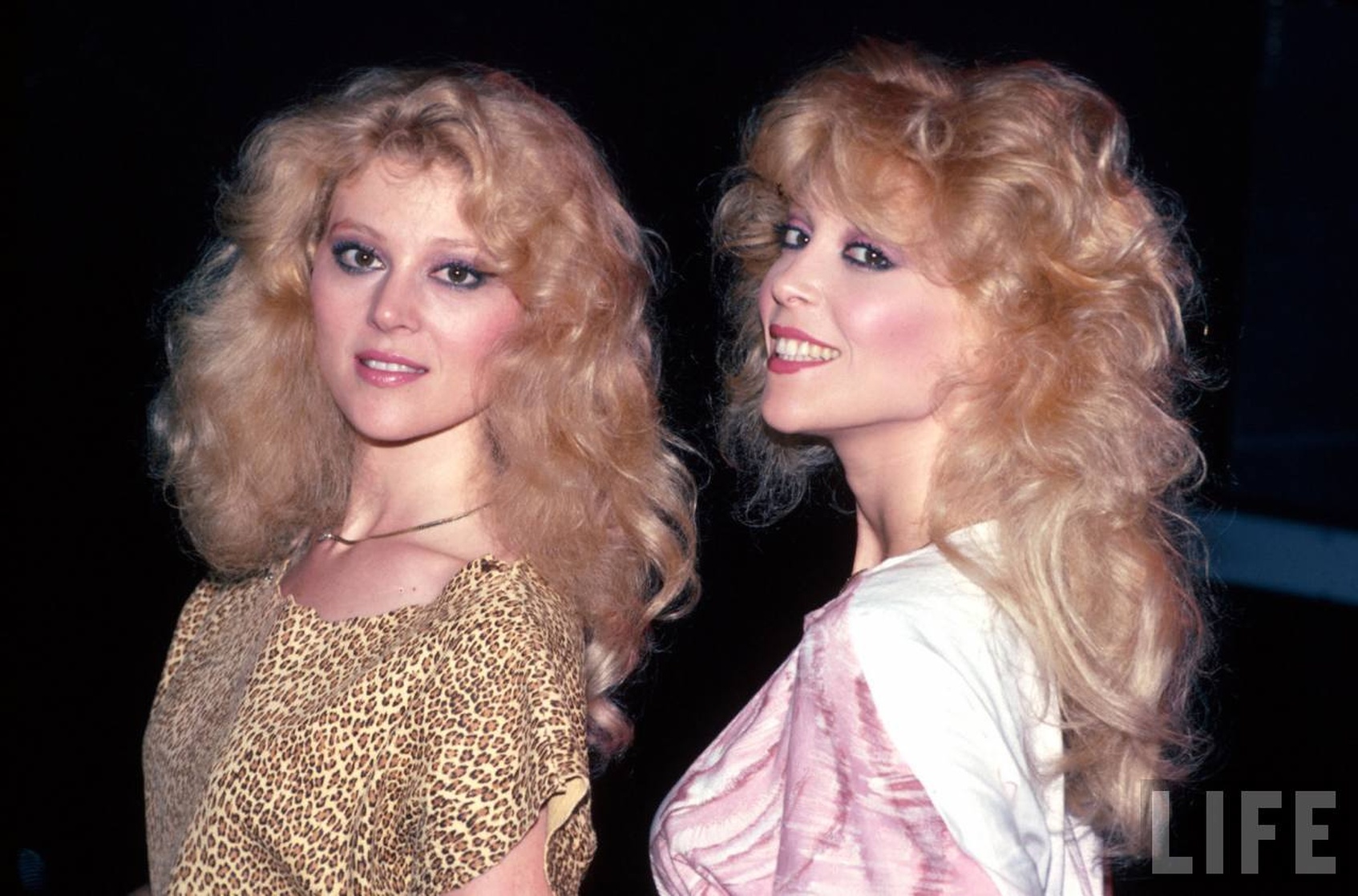 Picture Of Judy Landers picture-of-judy-landers