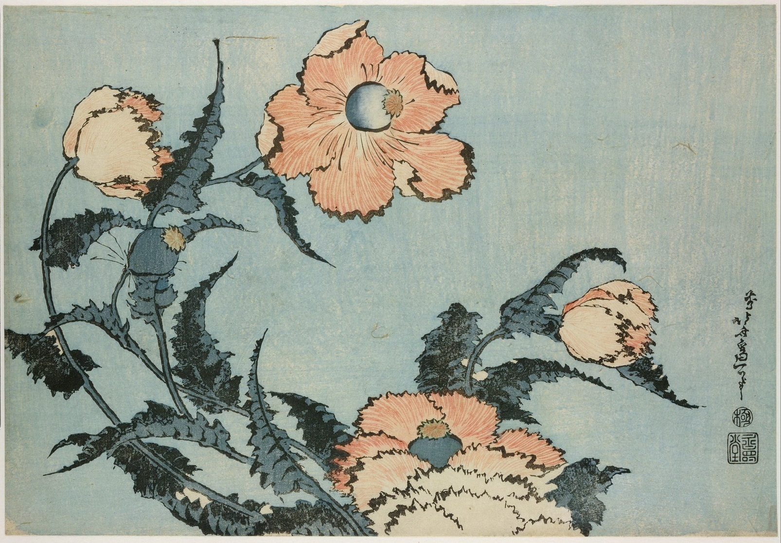 Picture Of Katsushika Hokusai