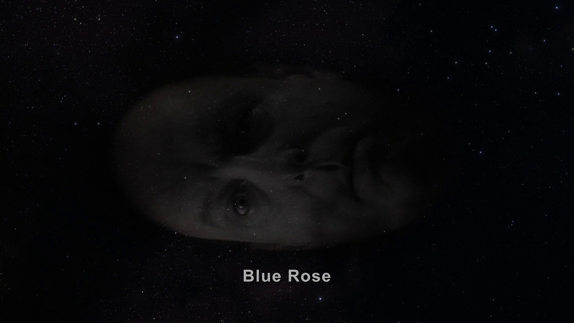 Twin Peaks: The Return