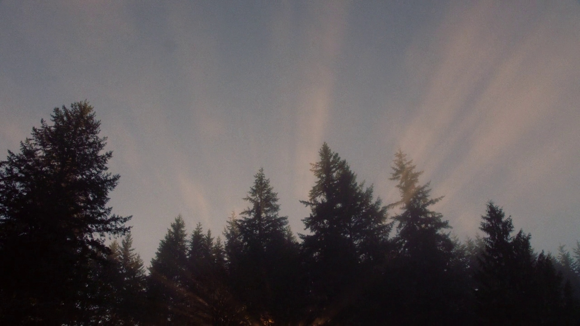 Twin Peaks: The Return