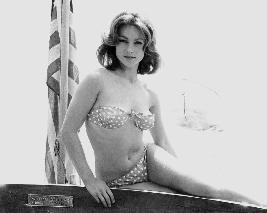 Shirley Anne Field