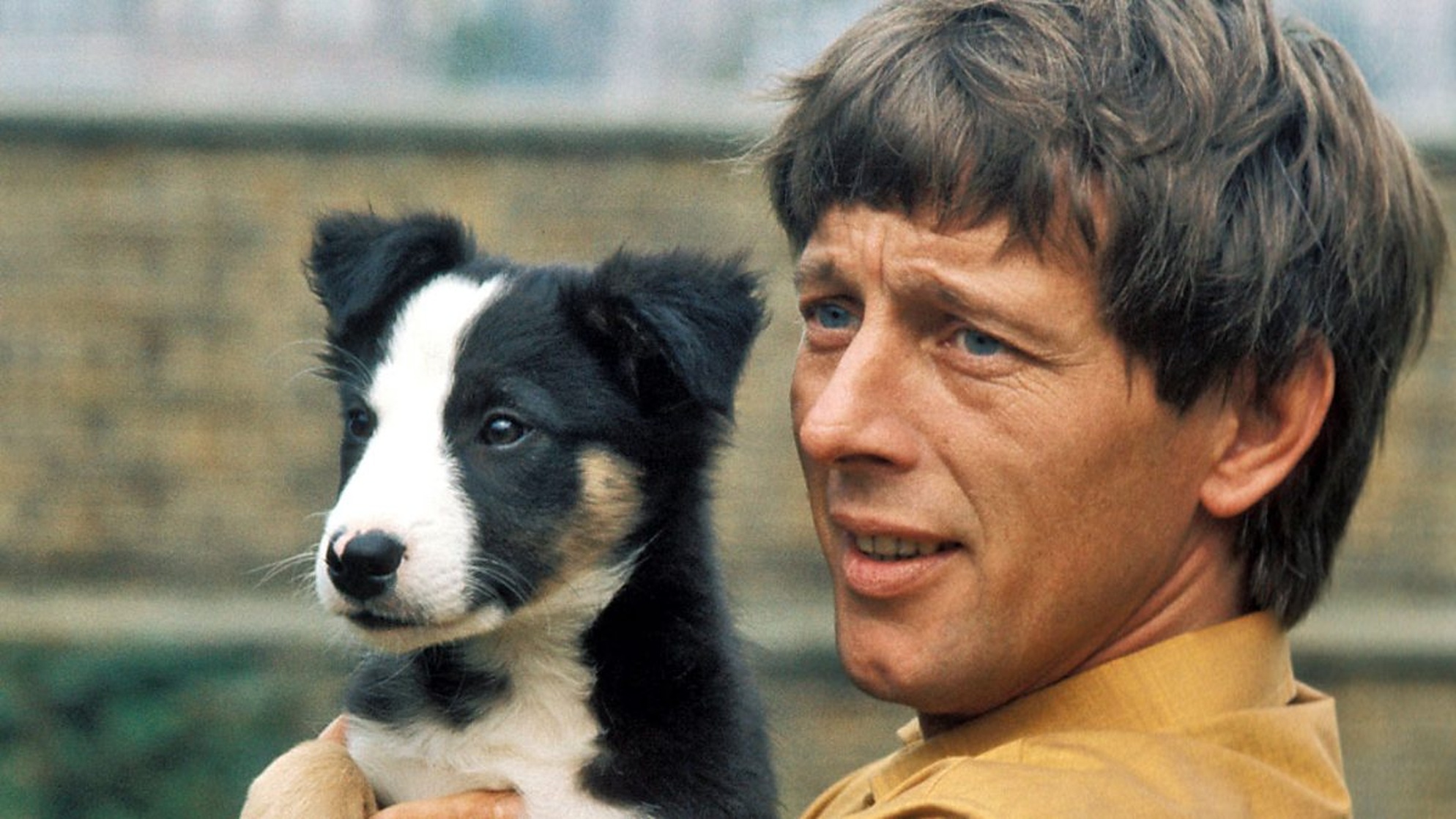 John Noakes