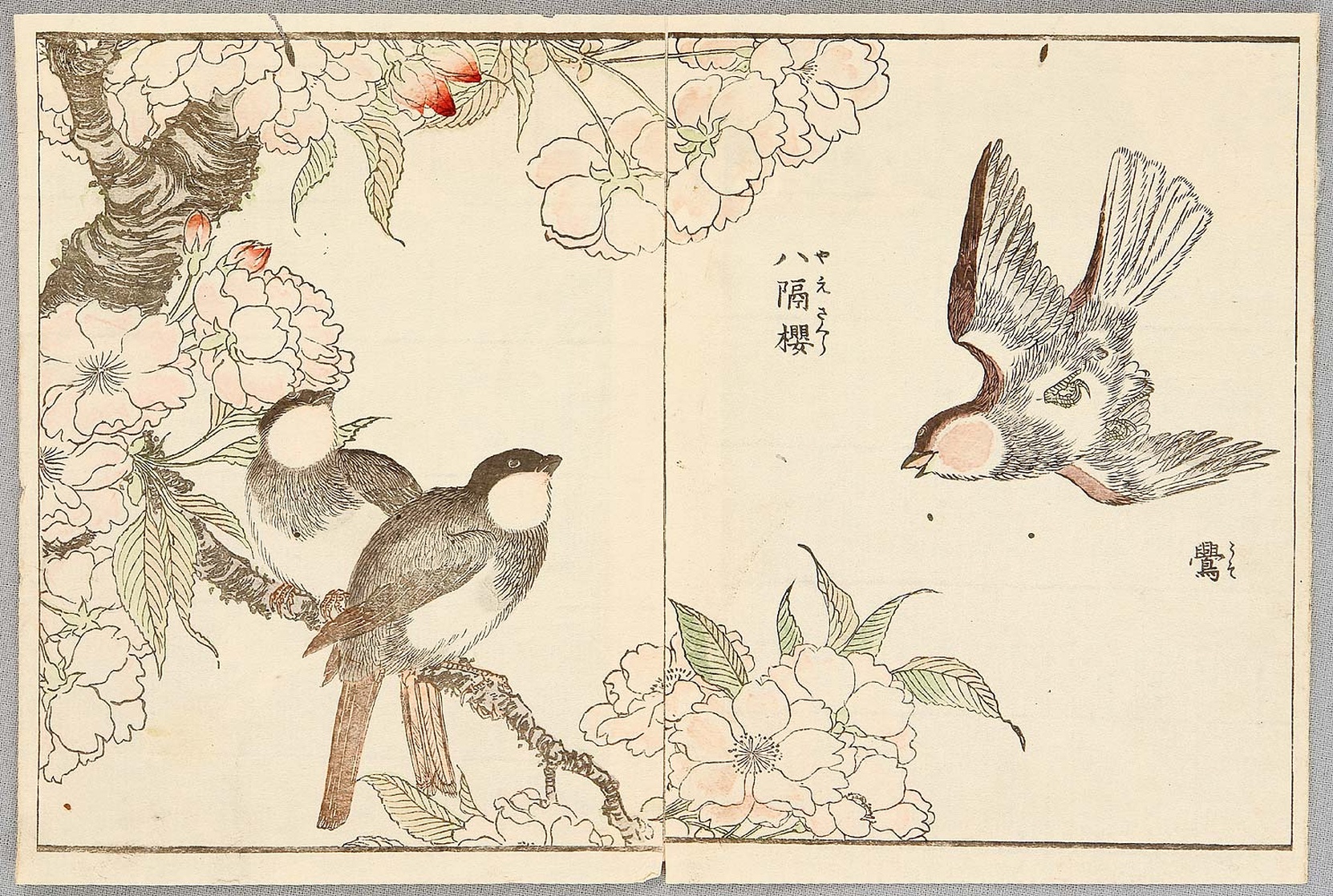 Kitao Shigemasa