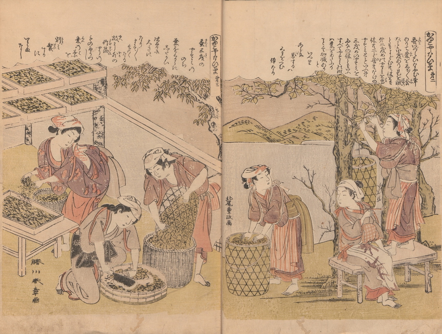 Kitao Shigemasa
