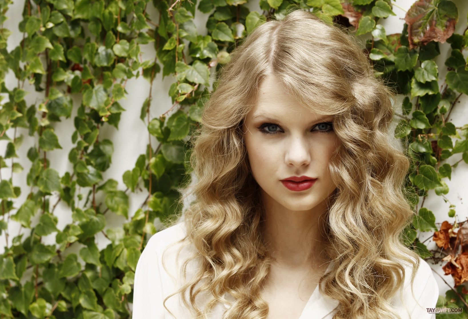 Taylor Swift Taylor Swift