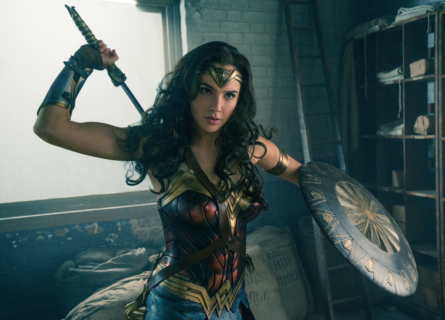 Wonder Woman (Gal Gadot) Wonder Woman (Gal Gadot)