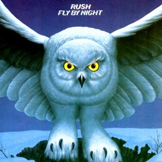 Picture of Fly by Night