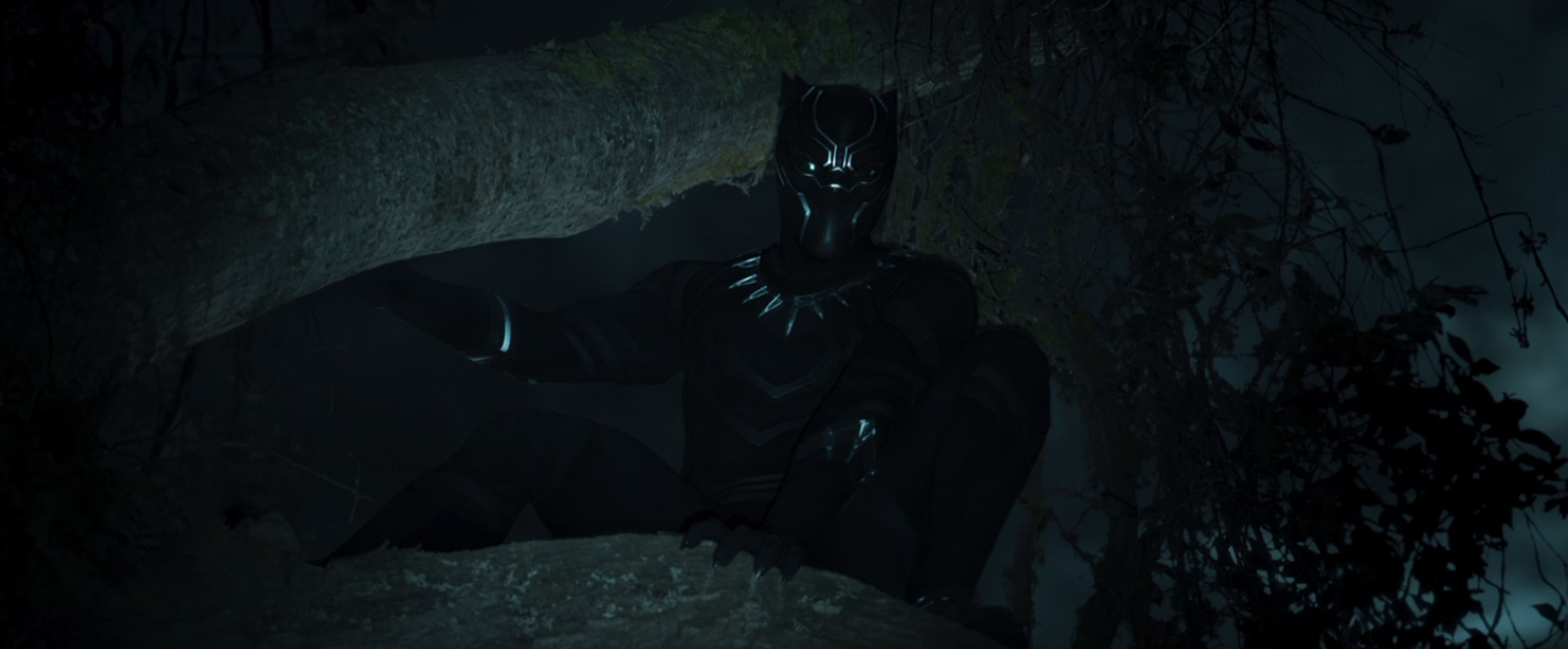 Black Panther Black Panther