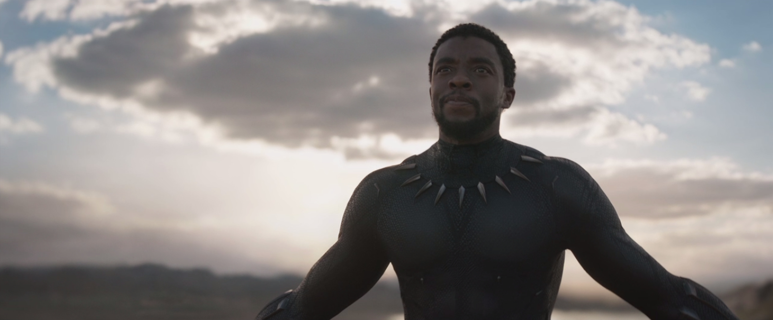 Black Panther Black Panther
