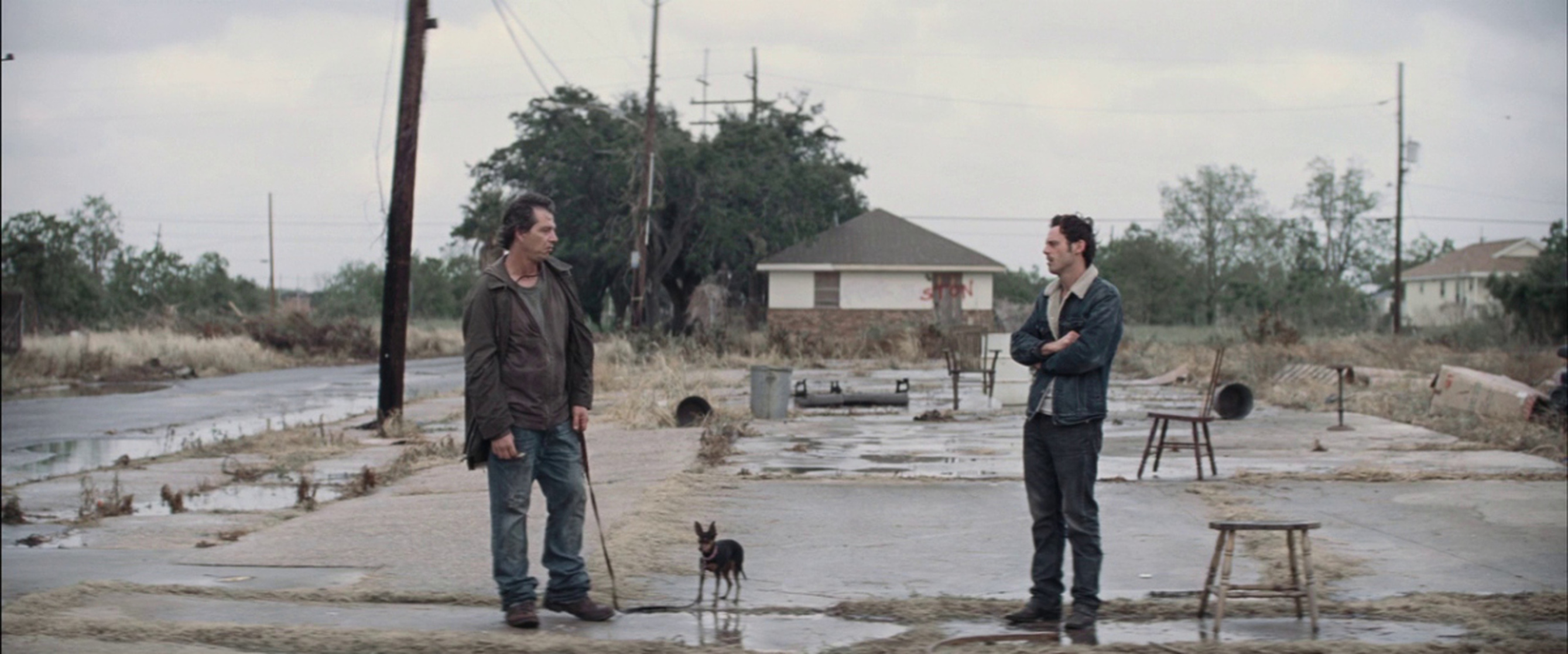 Killing Them Softly