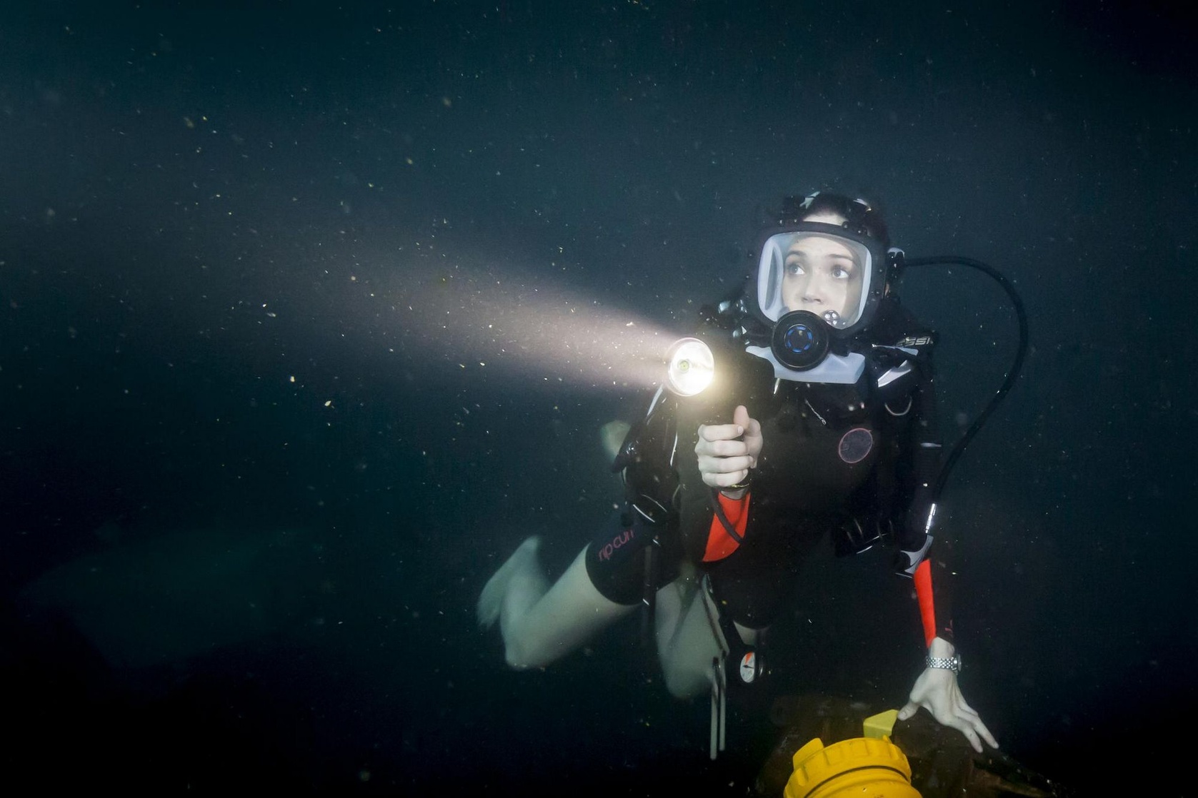 47 Meters Down 47 Meters Down