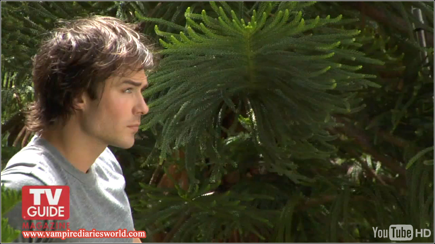 Ian Somerhalder