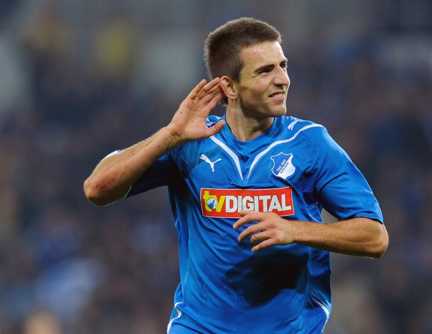Vedad Ibisevic (TSG Hoffenheim 2009/10)