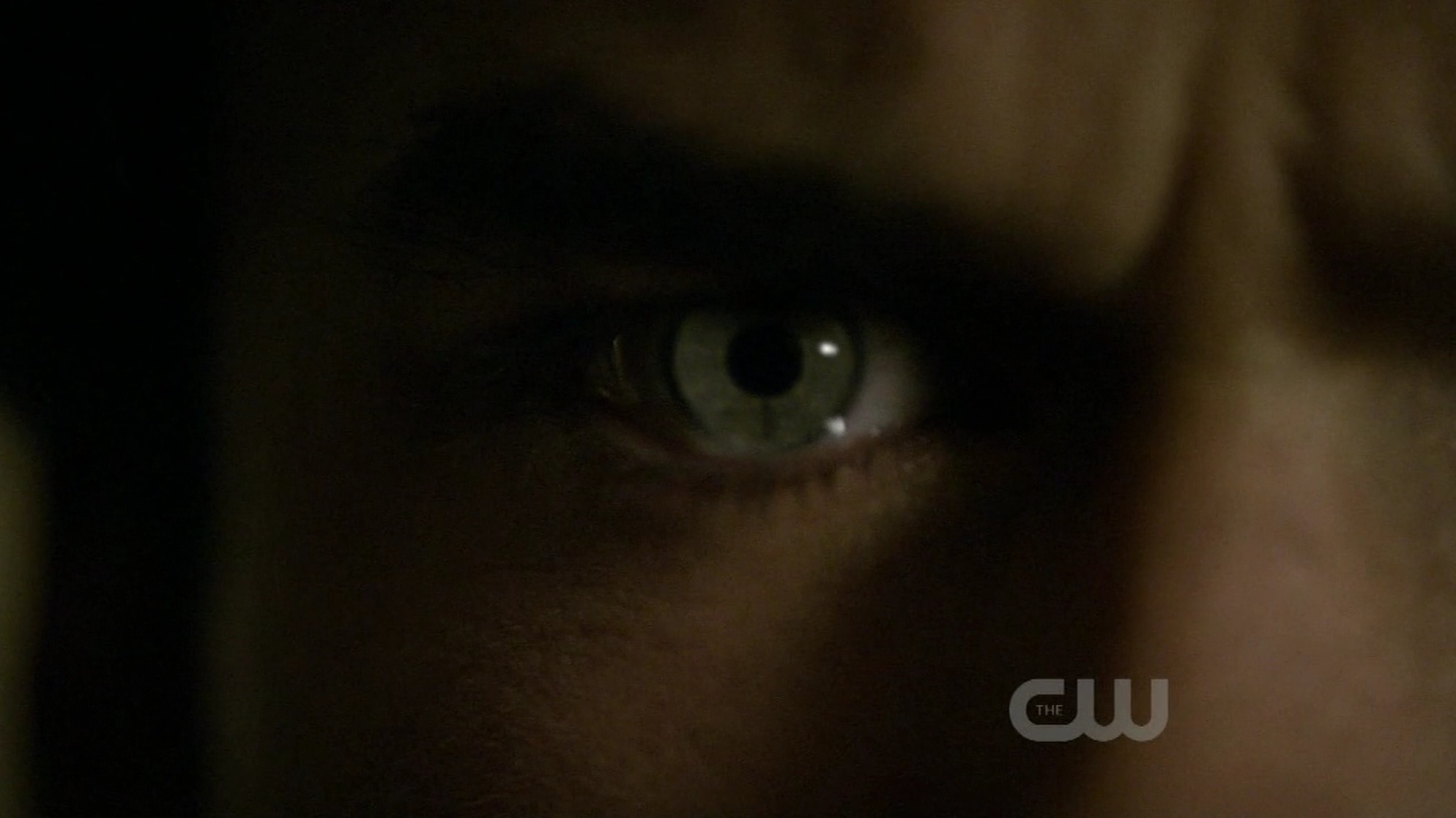 Ian Somerhalder