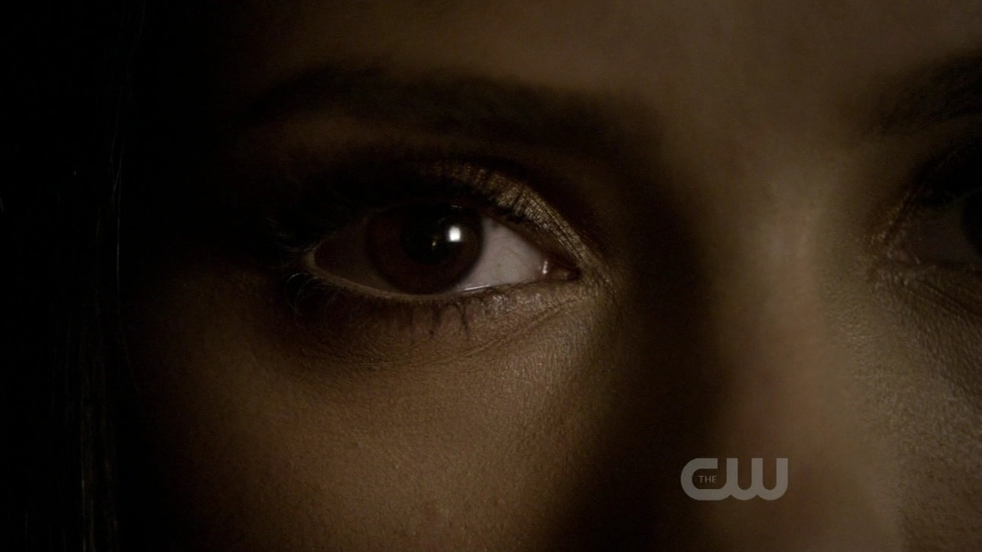 The Vampire Diaries