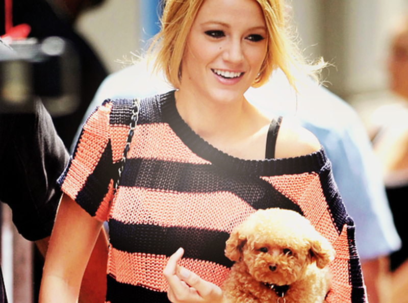 Blake Lively Blake Lively