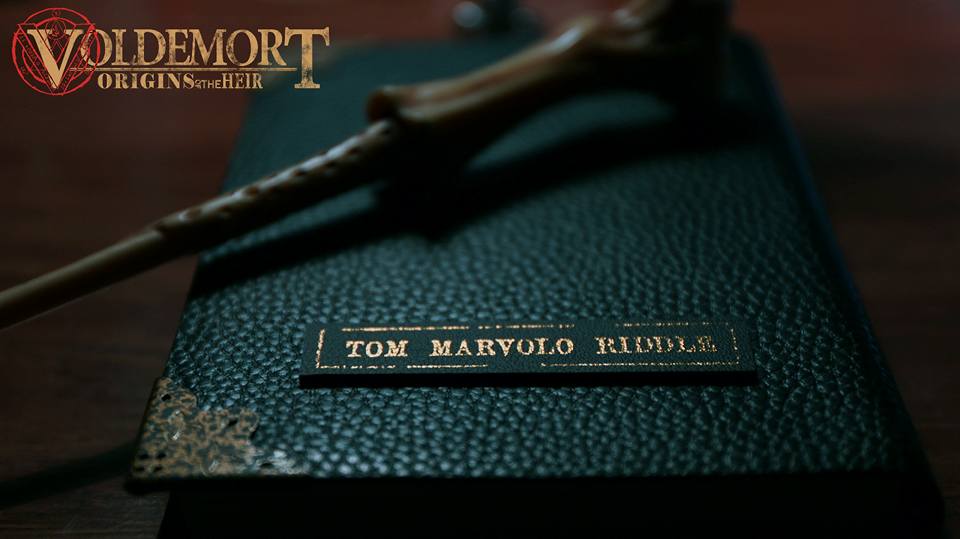 Voldemort Origins of the Heir picture