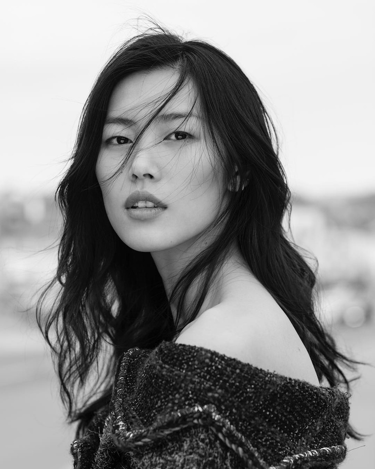 Picture of Liu Wen