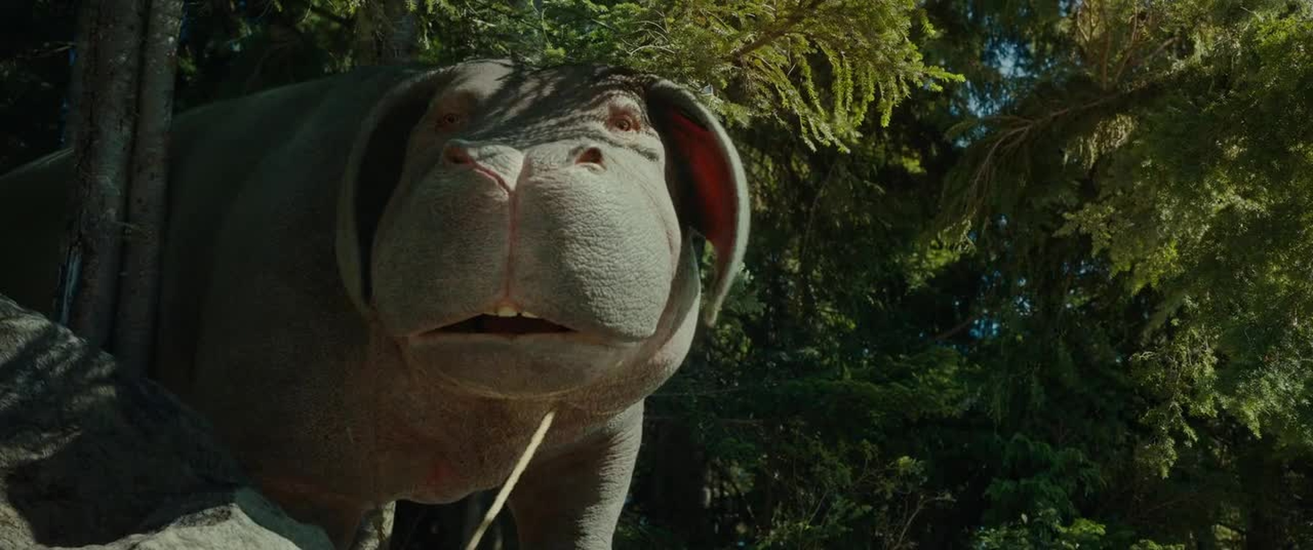 Okja Okja