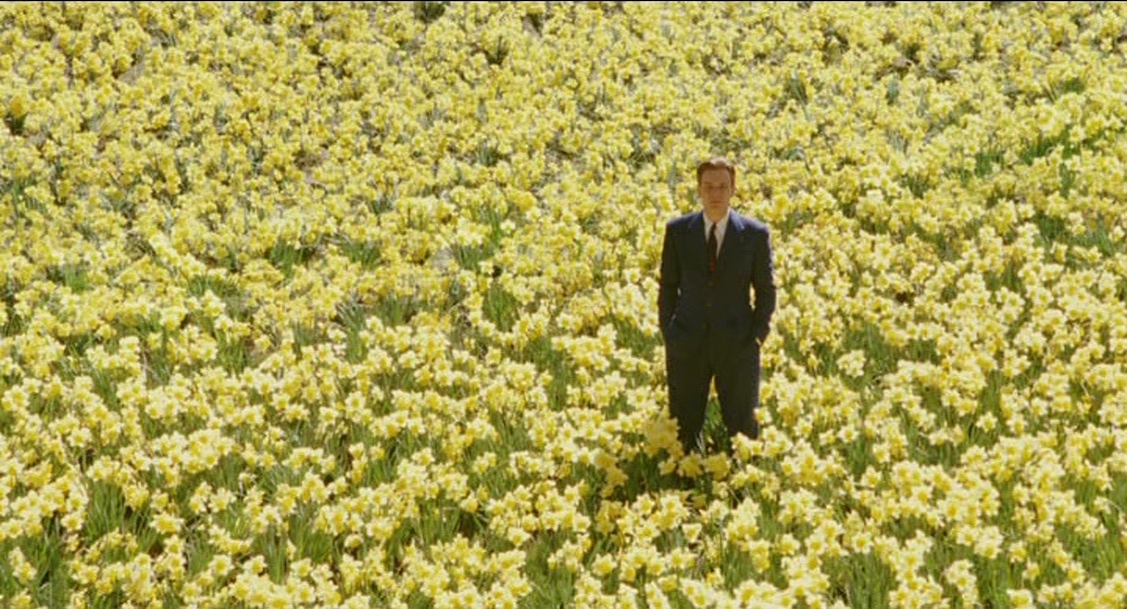 Big Fish Big Fish